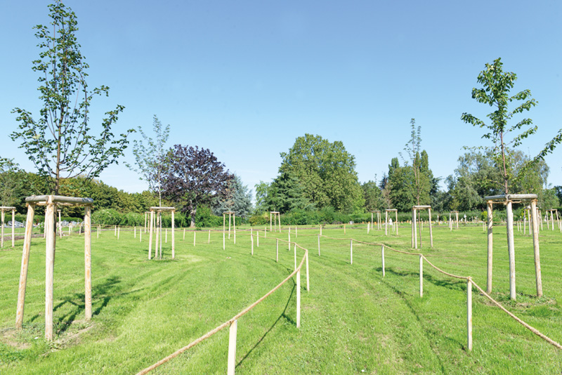 Bandeau Forêt Sanctuaire Cimetière Ouest