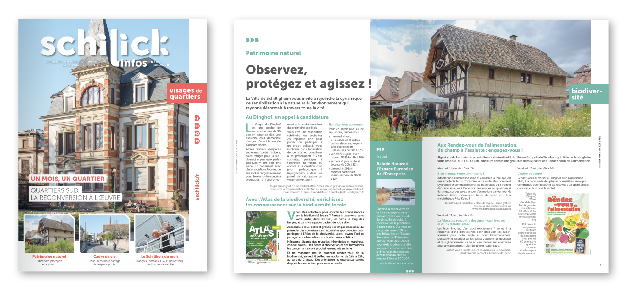 template Schilick Infos site web