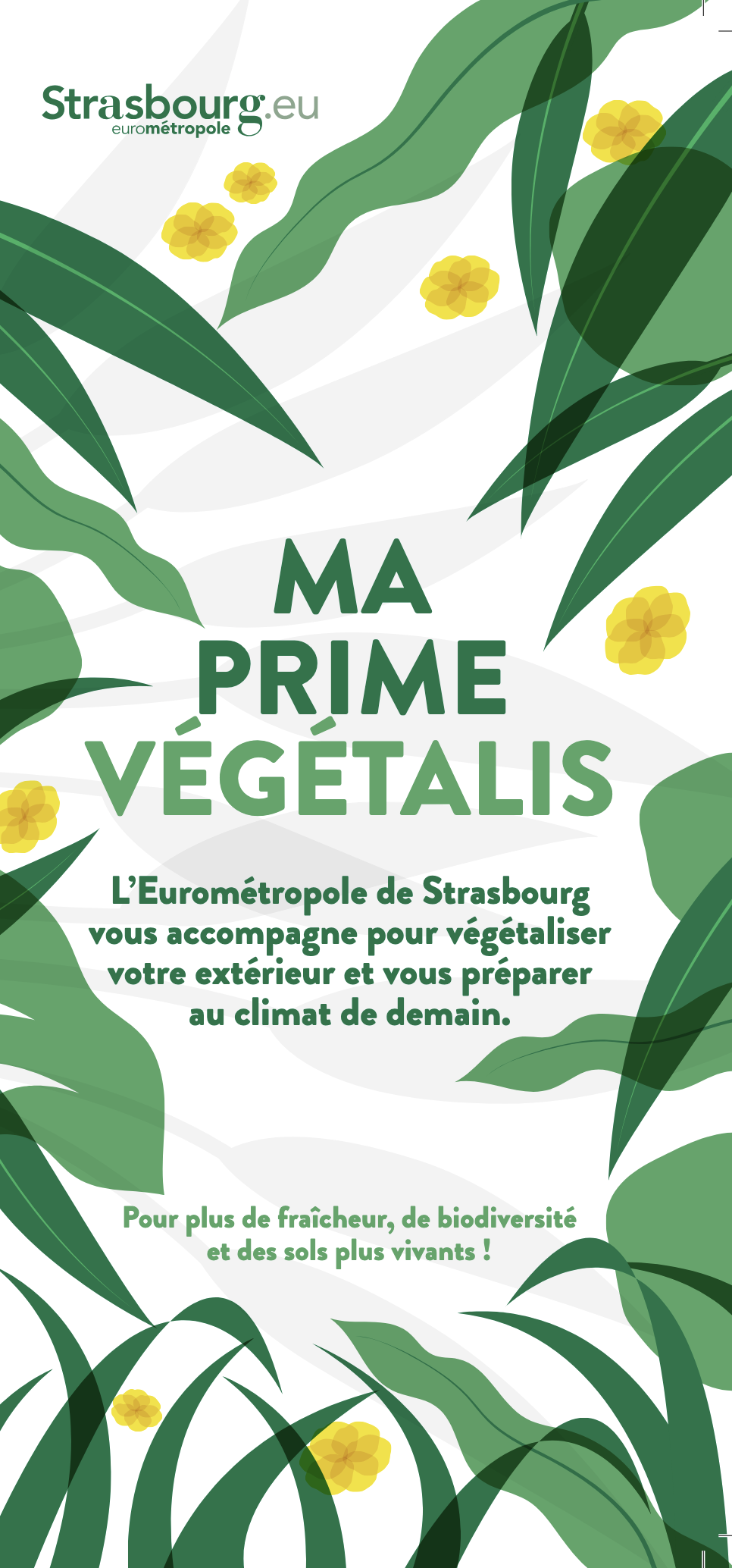 Capture d’écran 2026-02-17 à 12.29.30